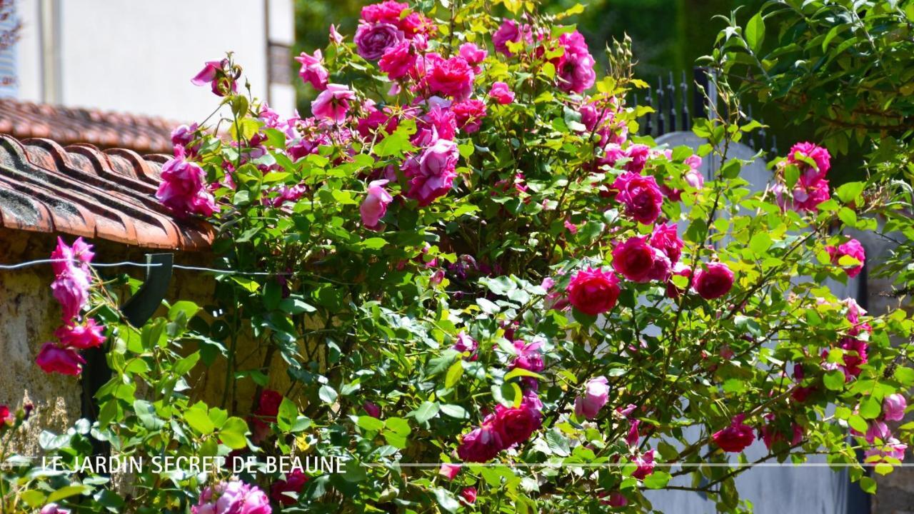 Le Jardin Secret De Beaune Beaune  Exterior foto